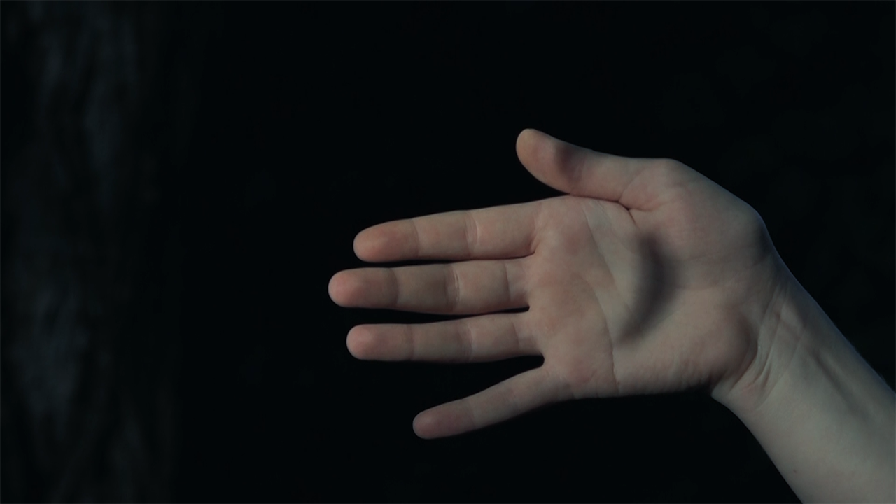 Le Poids de la Mésange, Triptyque part.2, Vidéo 4’16, frame 01’07