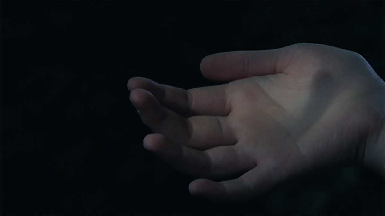 Le Poids de la Mésange, Triptyque part.2, Vidéo 4’16, frame 03’16