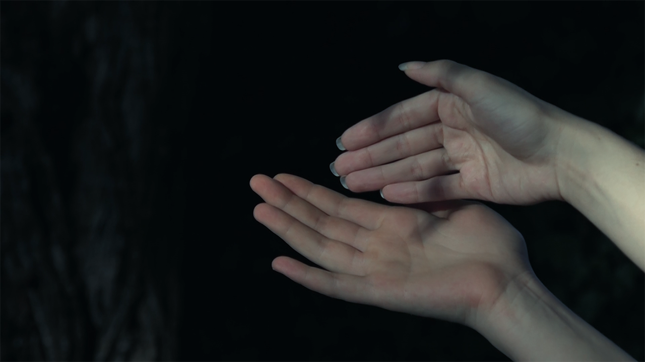  Le Poids de la Mésange, Triptyque part.2, Vidéo 4’16, frame 00’42