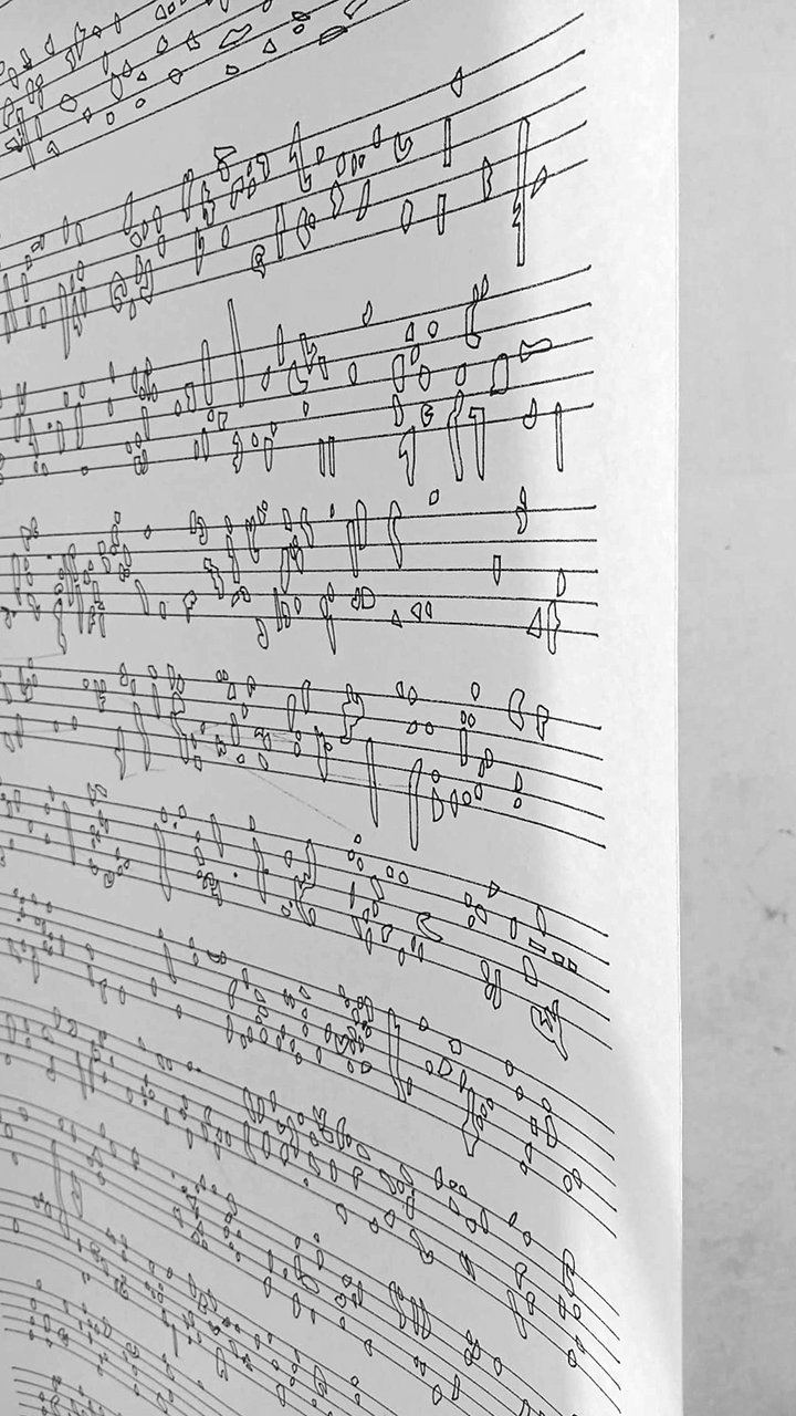 Interprétation pour Micocoulier, détail partition sonore