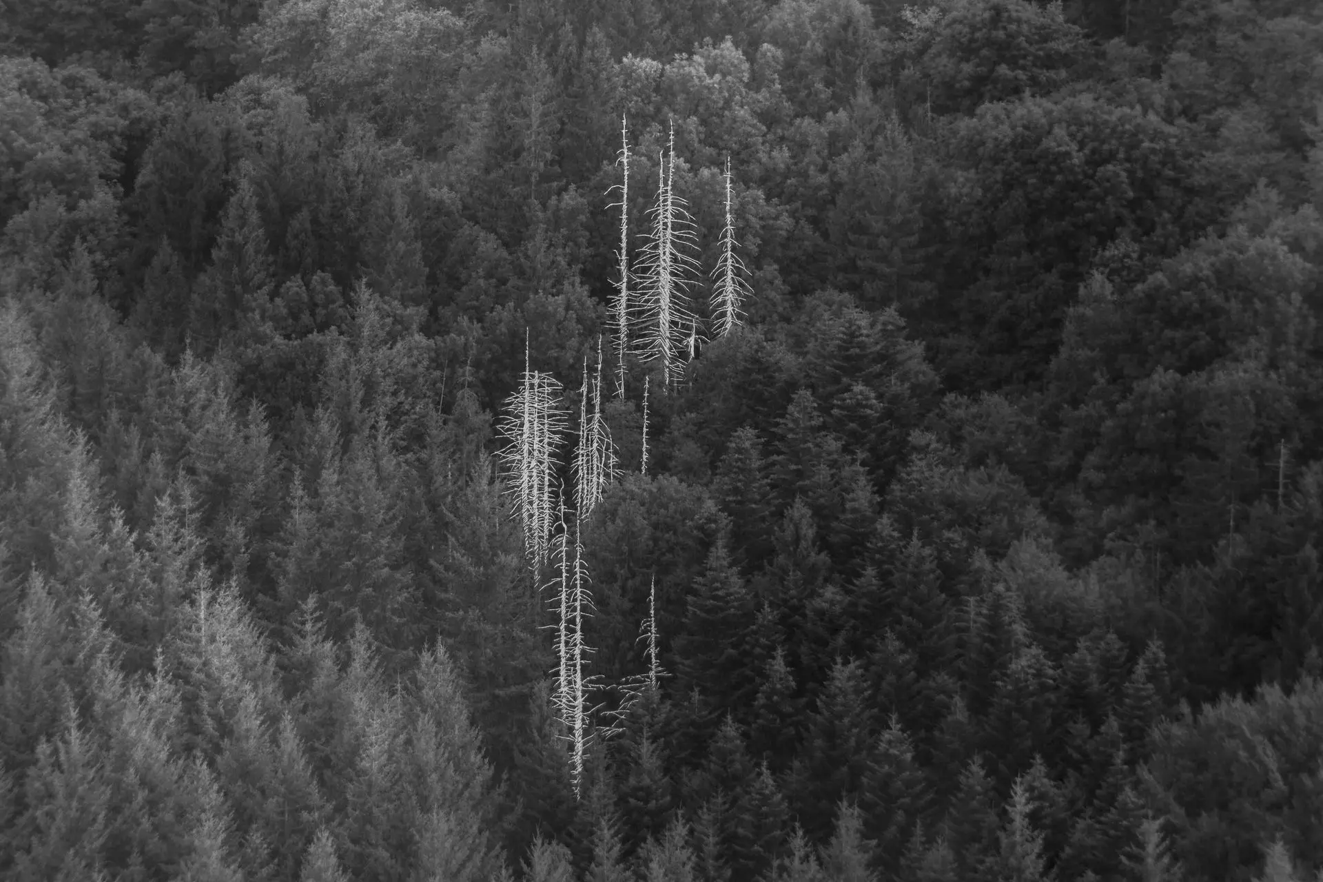 Imago : Paysages révélés